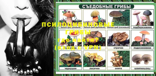 прущие грибы Абдулино