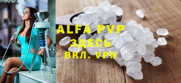 прущие грибы Абаза