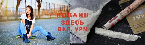 прущие грибы Абаза