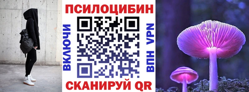 мориарти телеграм где можно купить Ивантеевка Галлюциногенные грибы Psilocybine cubensis
